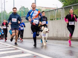 Photograph of a group of runners participating in a race on a wet road, with one runner accompanied by a white dog wearing a race bib.