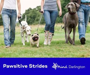 Photograph of three people walking three dogs on leashes across grassy field, showing a Dalmatian, a pug, and a Great Dane. Blue banner below includes text "Pawsitive Strides" and logos for Mind and Darlington